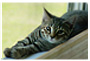 Abby's Photo 1